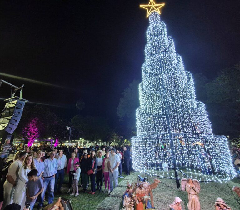 Con la presencia de decenas de familias, la Municipalidad encendió el árbol navideño en la Plaza 25 de Mayo