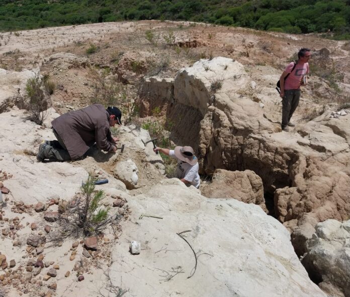 La UNNE y Conicet colaboran en el conocimiento de una megafauna de más de 30 mil años en Bolivia